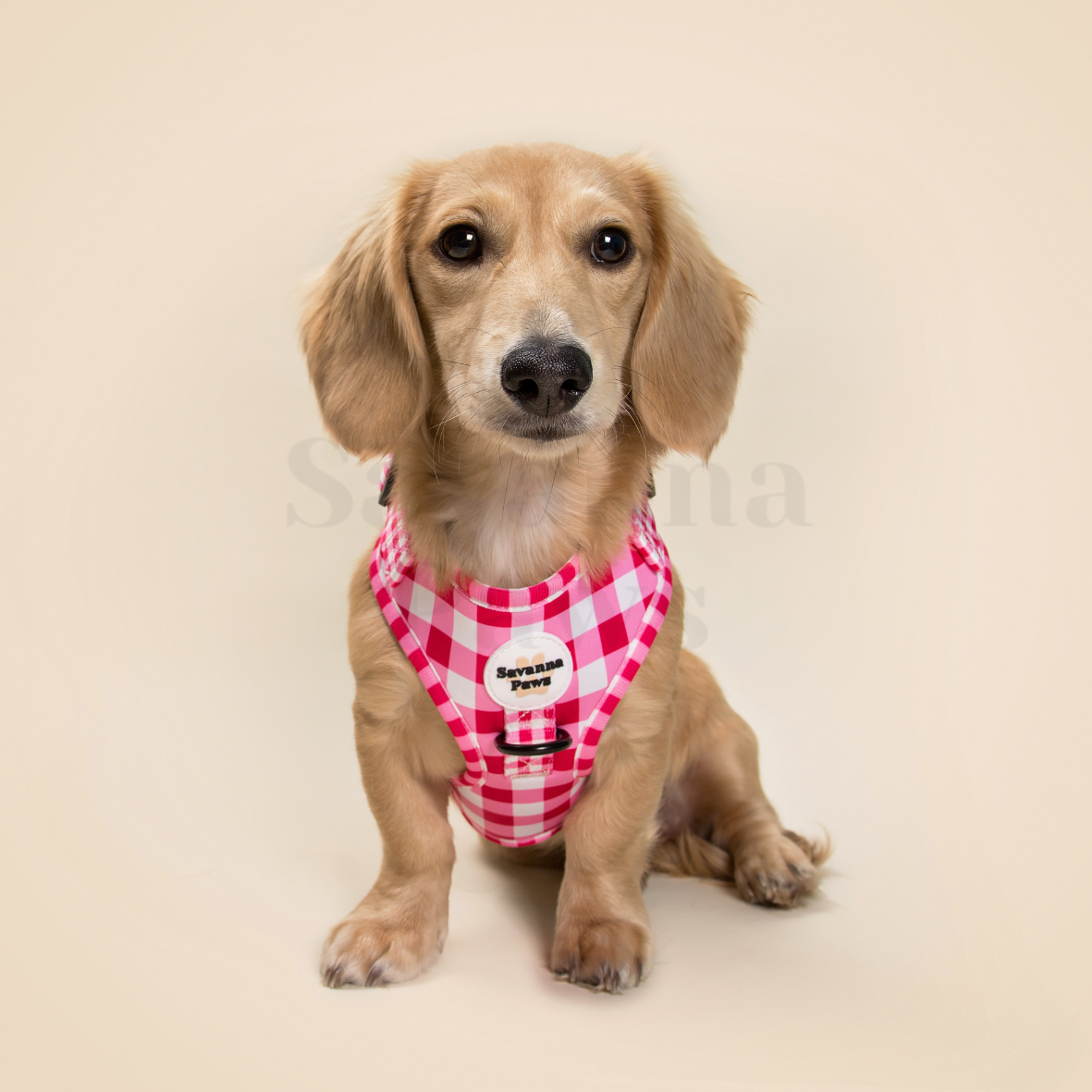 Pink Gingham Harness - Main Image