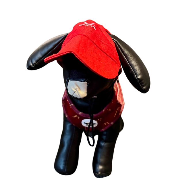 Tailup Dog Hat
