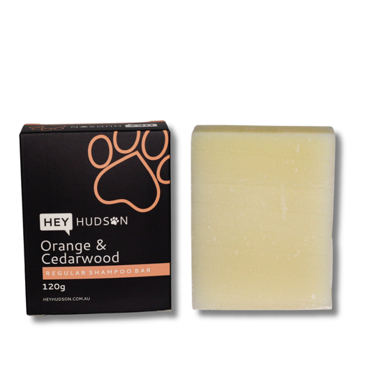 Regular Soap-Free Shampoo Bar