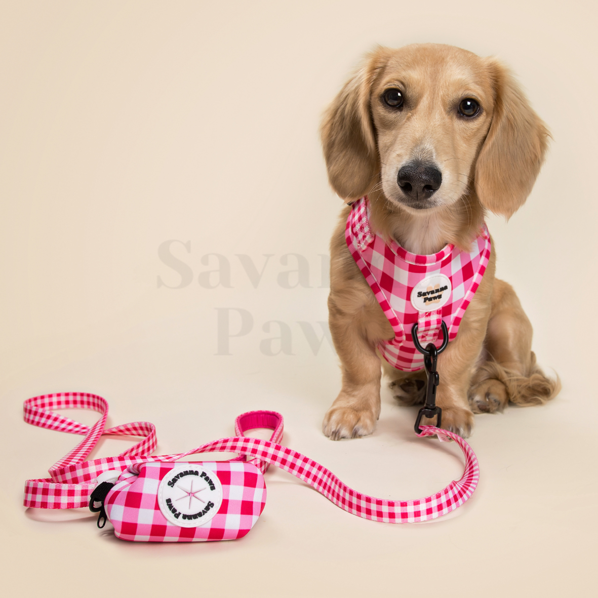 Pink Gingham - Leash