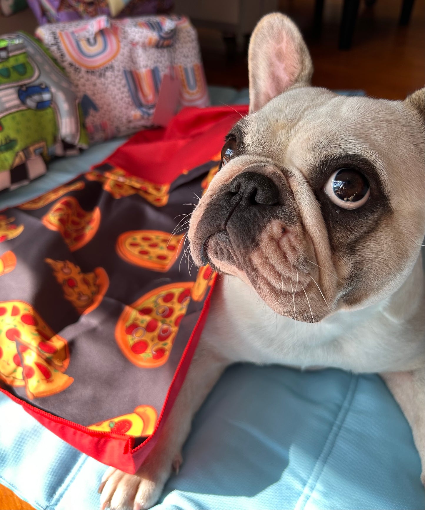 Pet Towel - Pizza