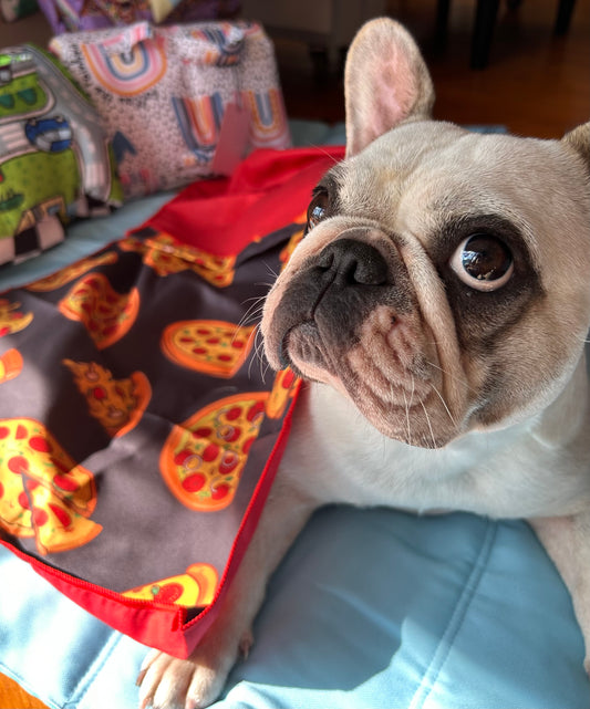 Pet Towel - Pizza