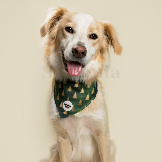 Christmas Tree - Bandana