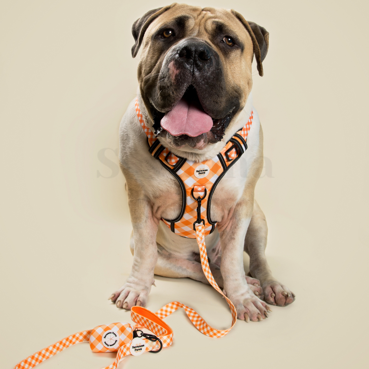 Orange Gingham - Anti-Pull Harness