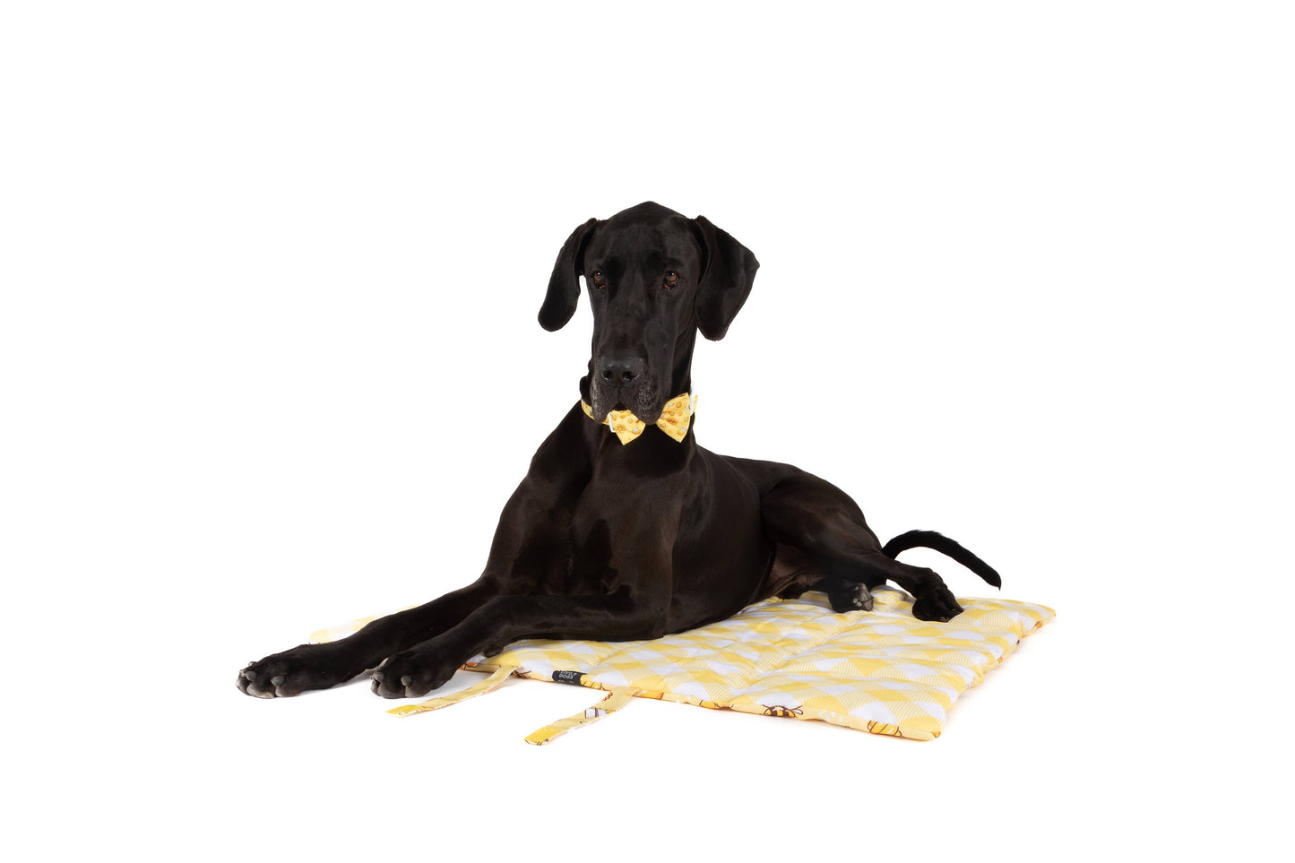 ON-THE-GO PET MAT: Bee-Hiving