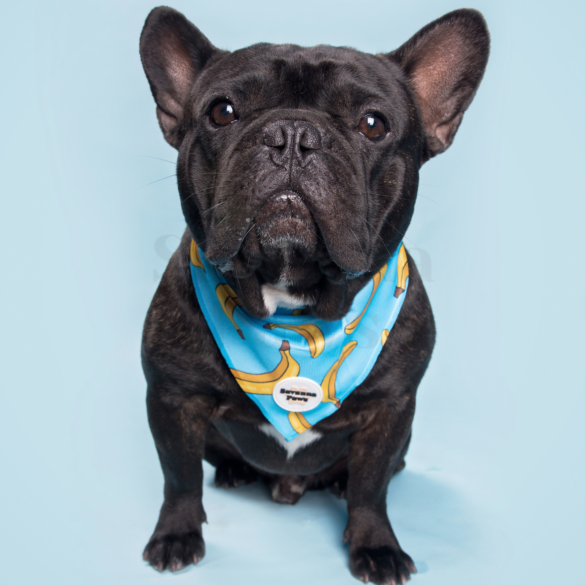 Banana - Bandana