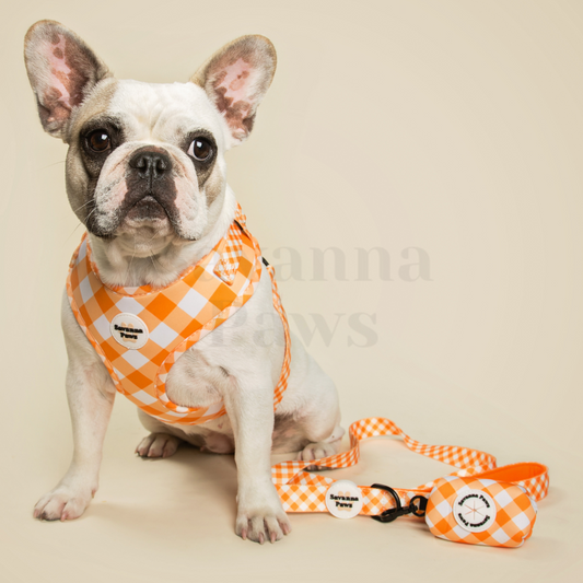 Orange Gingham - Leash