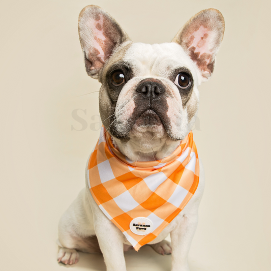 Orange Gingham - Bandana