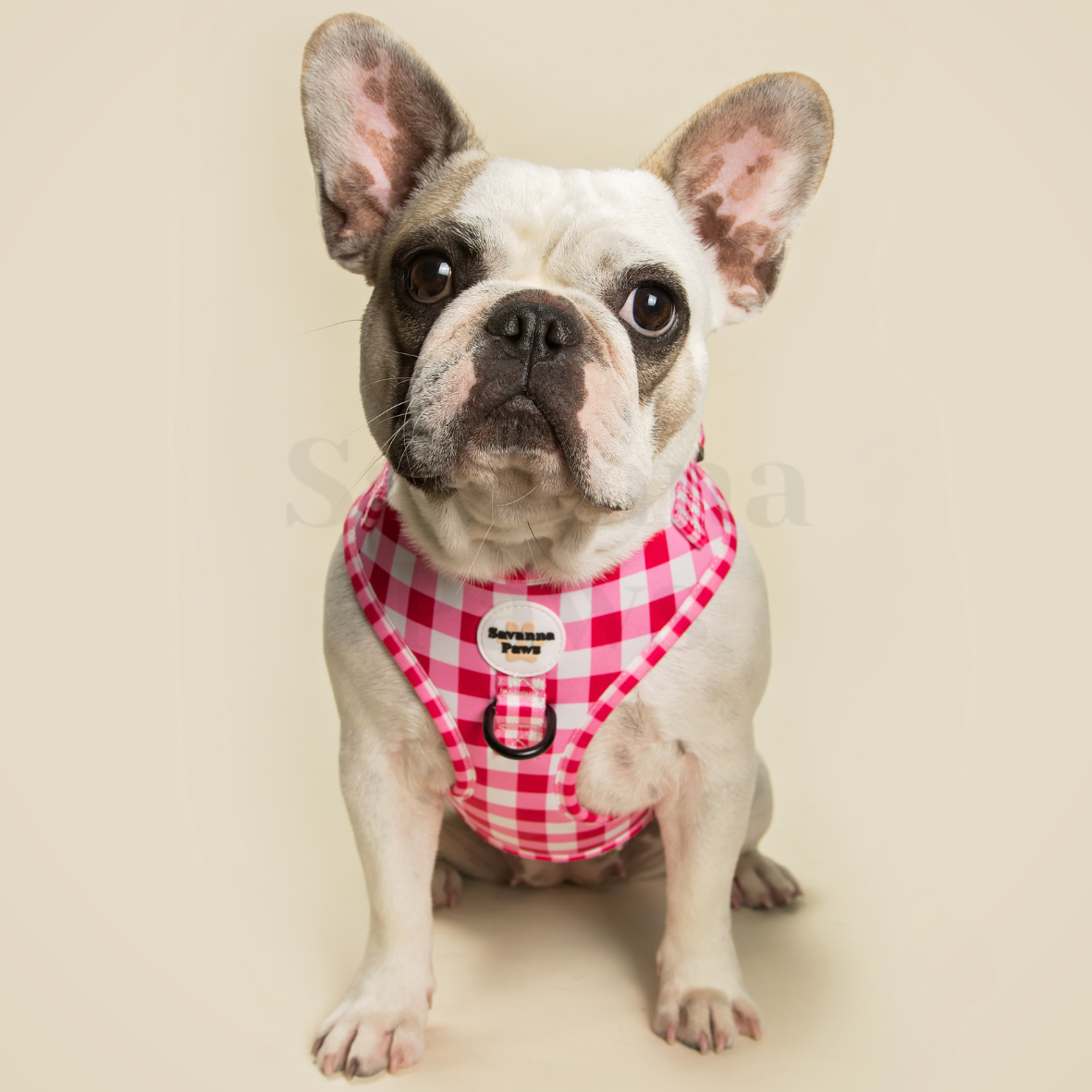 Pink Gingham - Harness