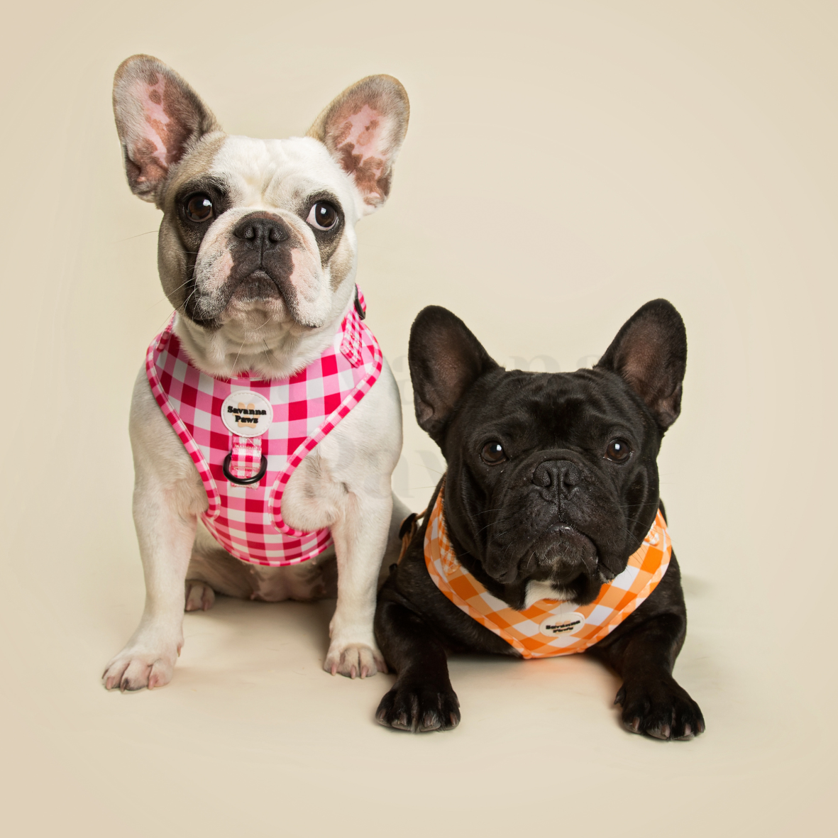 Pink Gingham - Harness