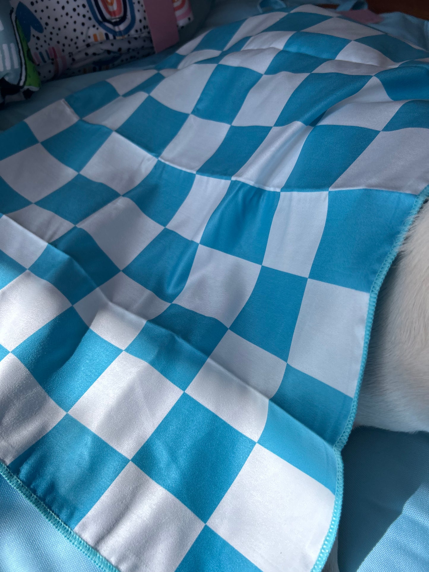 Pet Towel - Blue Checker