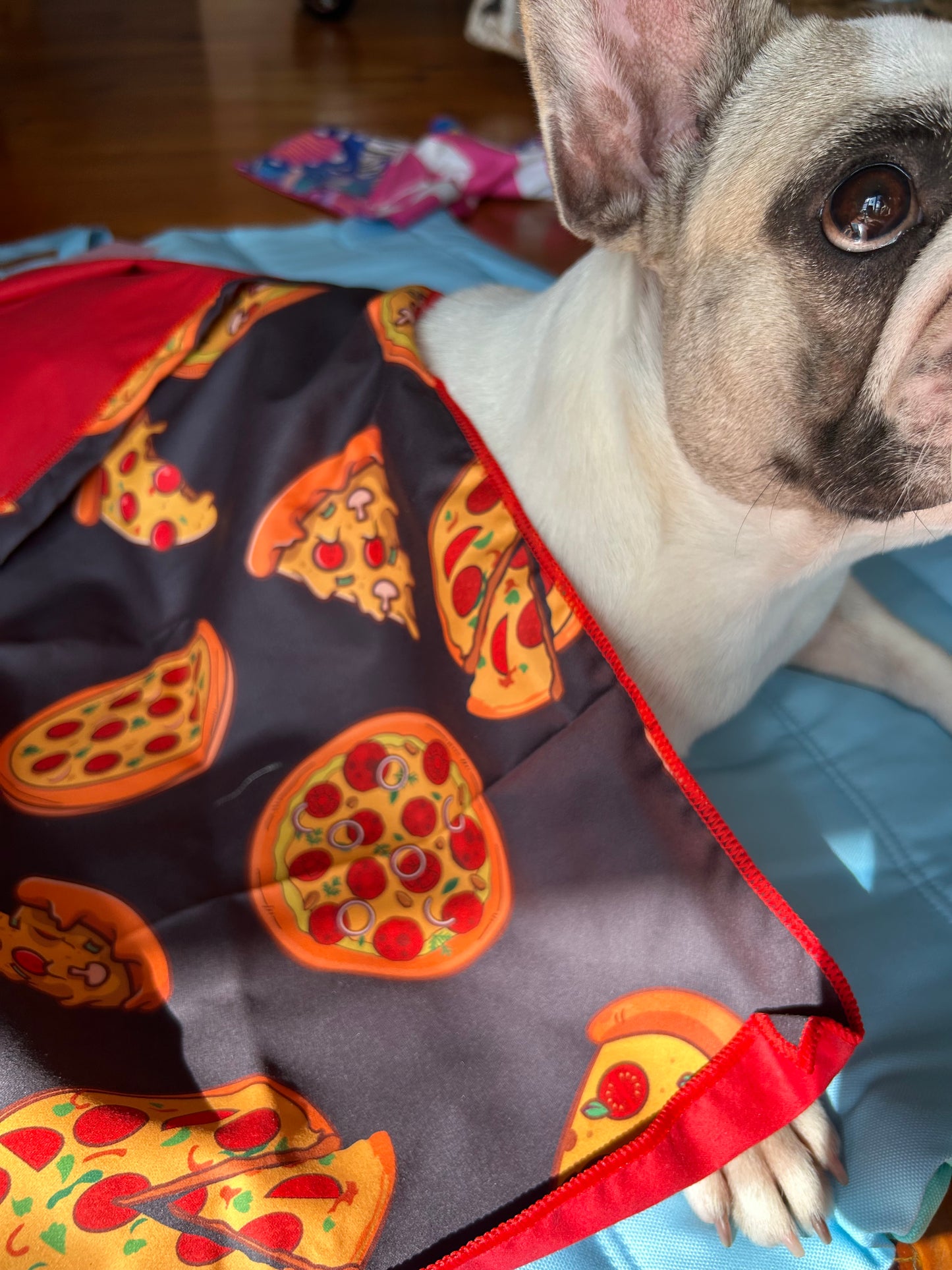 Pet Towel - Pizza