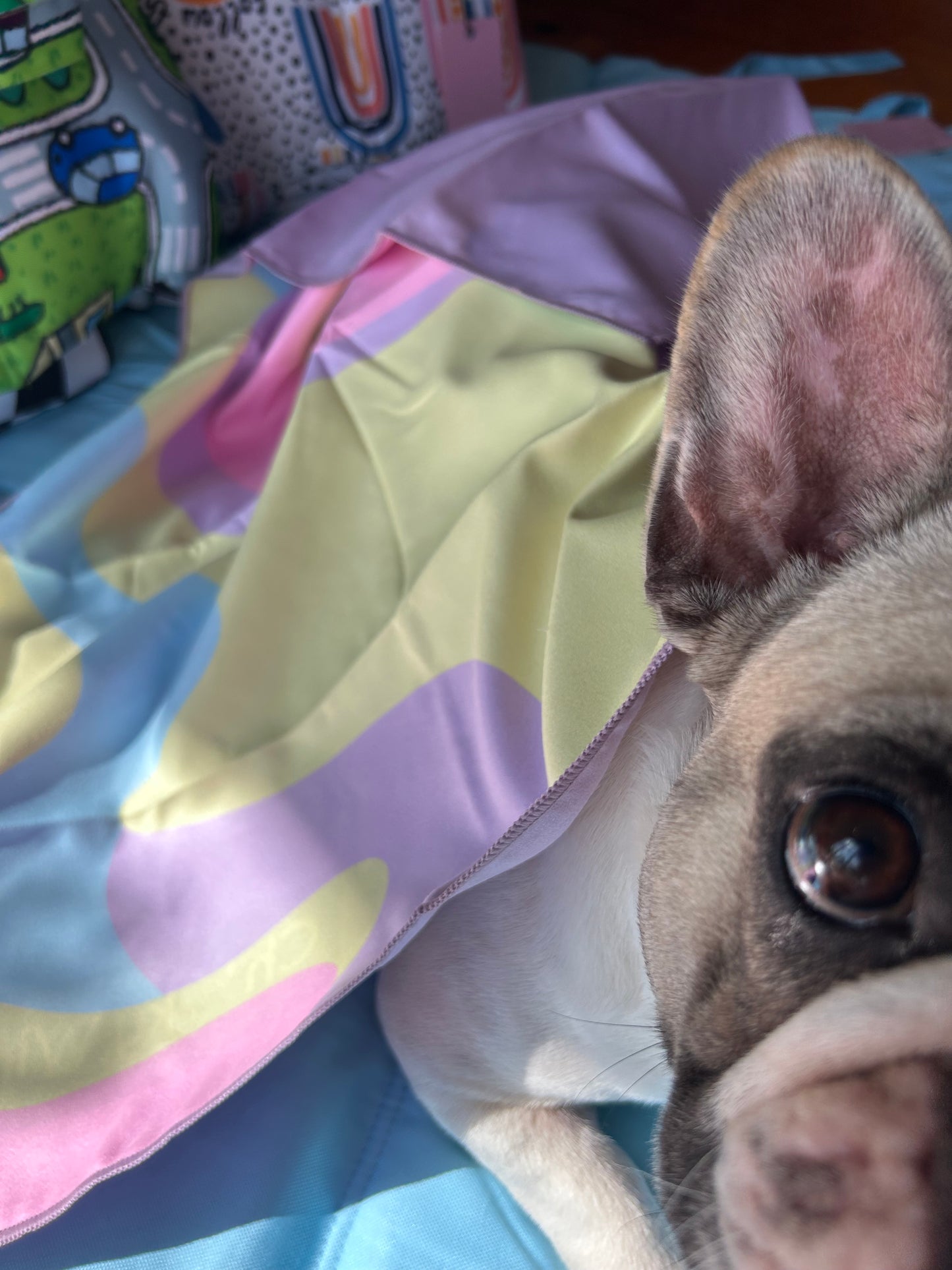 Pet Towel - Rainbow Swirl