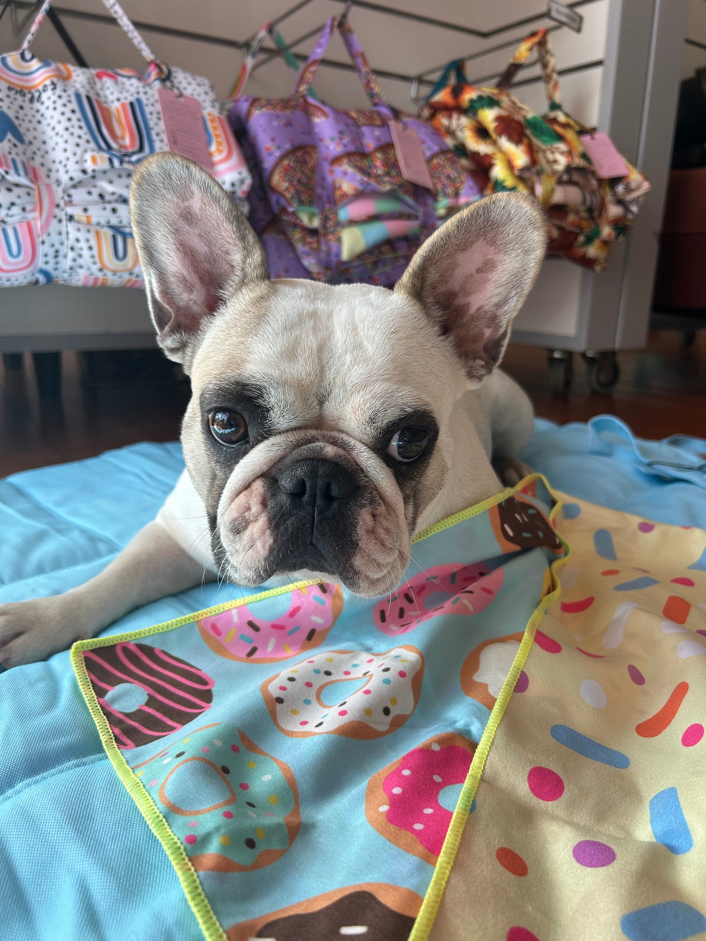 Pet Towel - Donuts