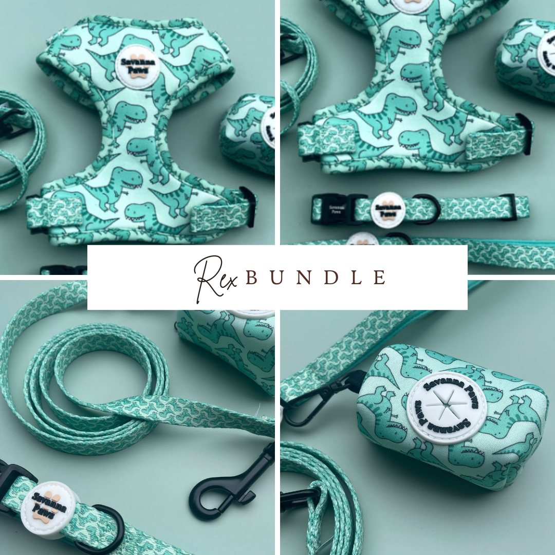 Rex Bundle - With Poop Bag Holder