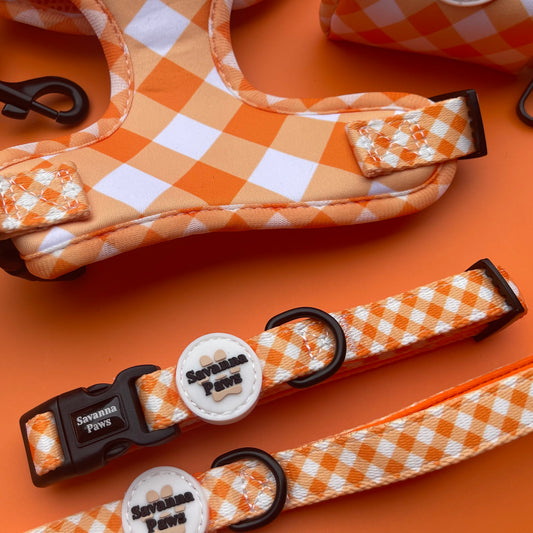 Orange Gingham - Collar